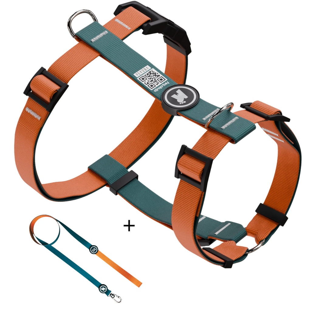 Kit Peitoral H Guia Premium Aventura