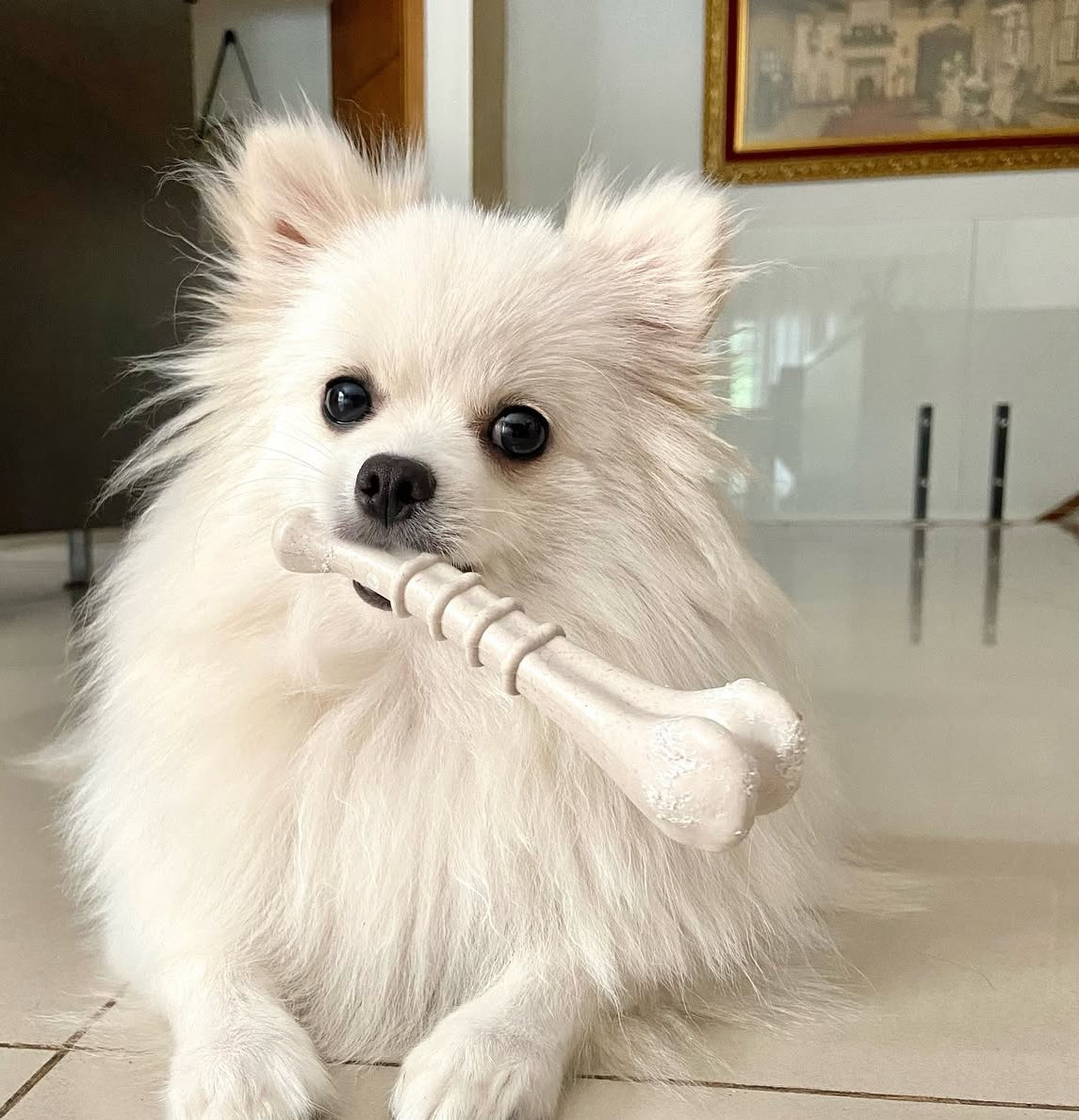 Ossinho Pequeno Carne  -Mordida Extra Forte