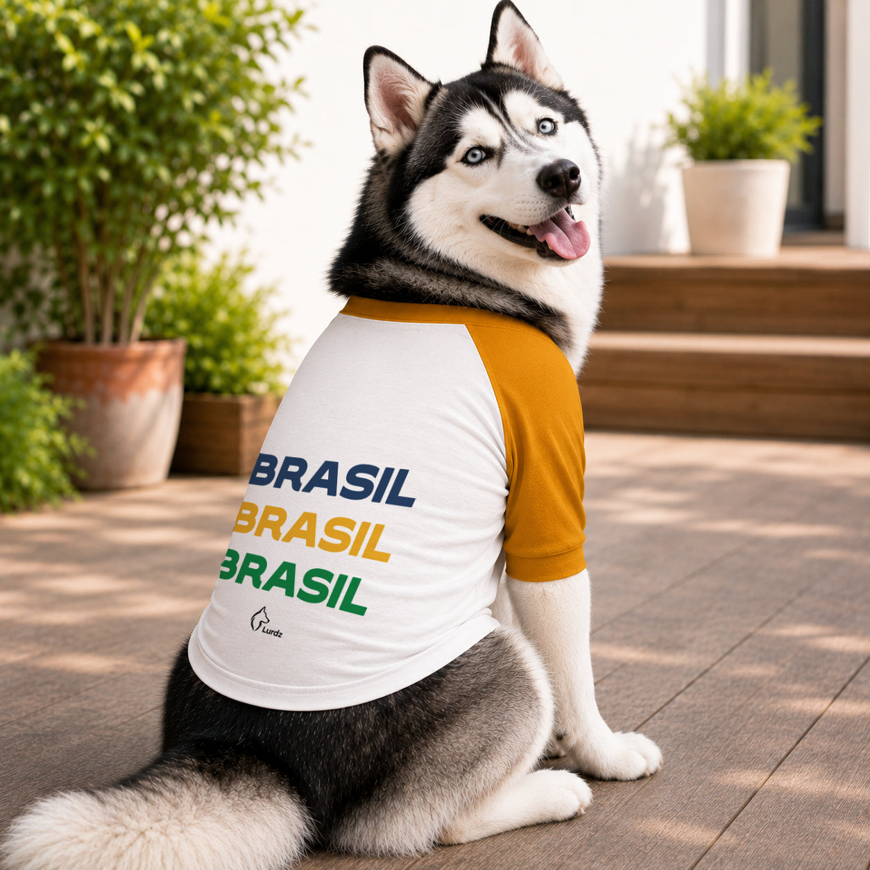 Roupinha Pet Brasil