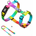 Kit Premium Peitoral H Guia Rainbow