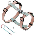 Kit Premium Peitoral H Guia Aurora