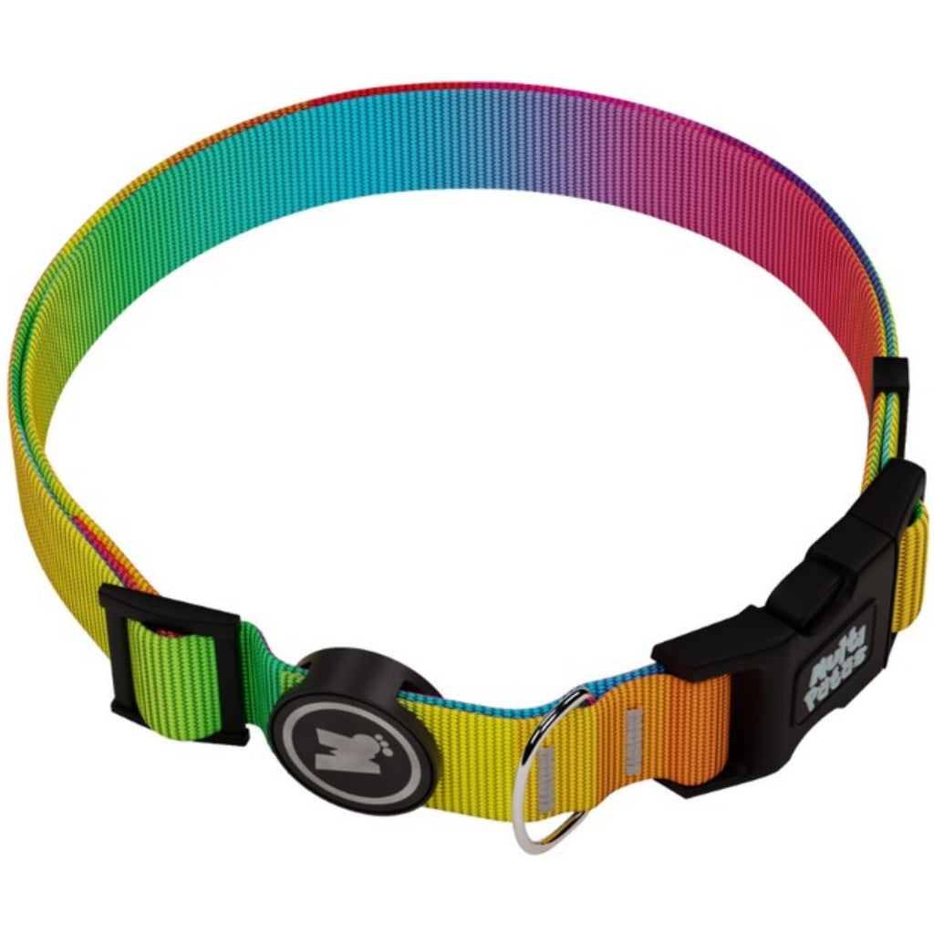 Coleira Premium Rainbow